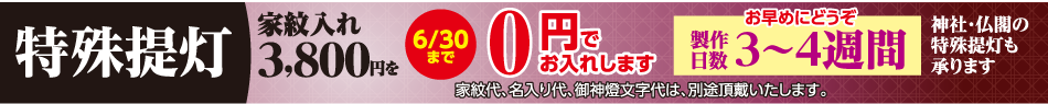 特殊提灯